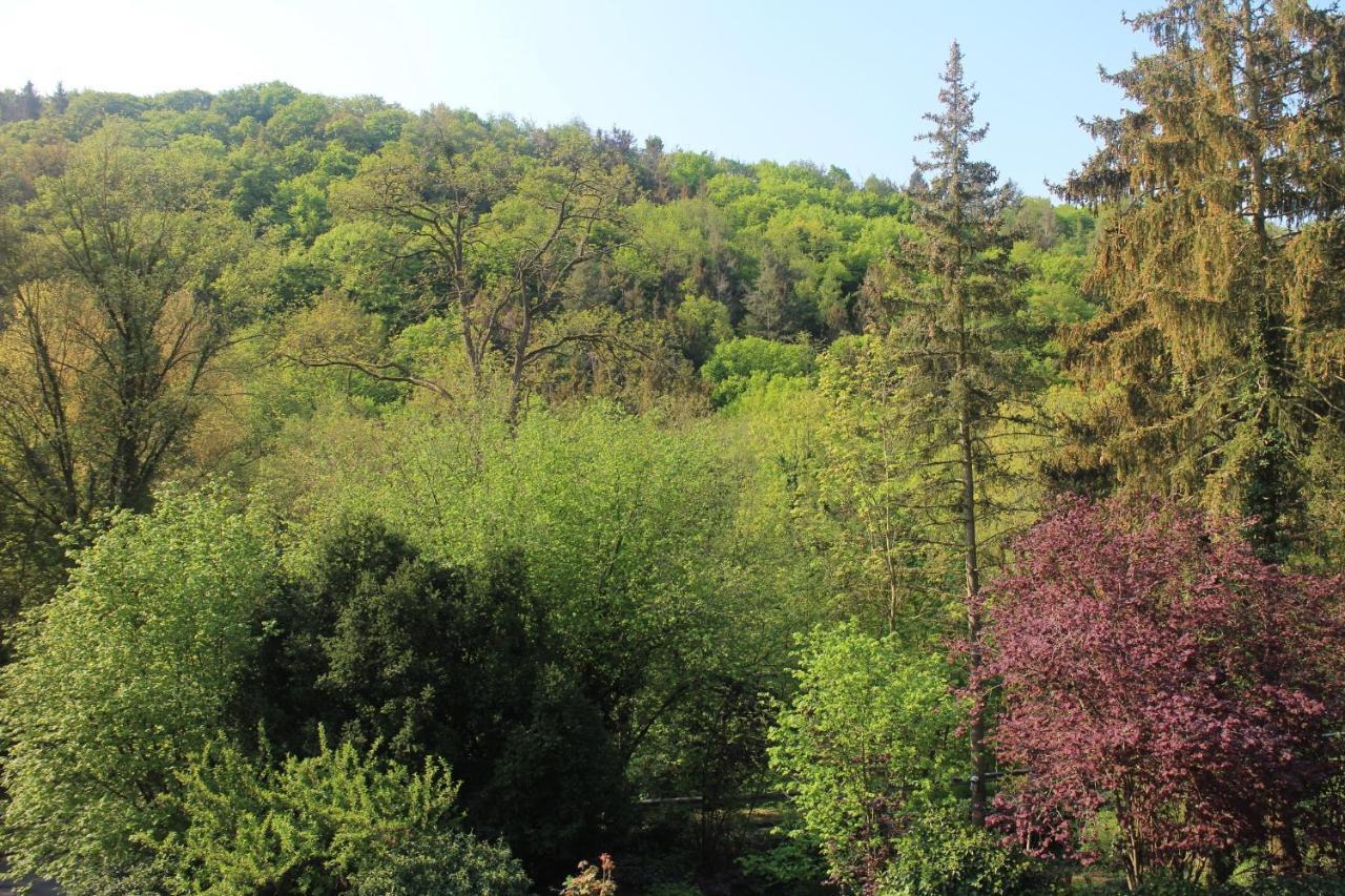 Großzügiges Zimmer mit Waldblick am Rheinsteig Linz am Rhein Exterior foto
